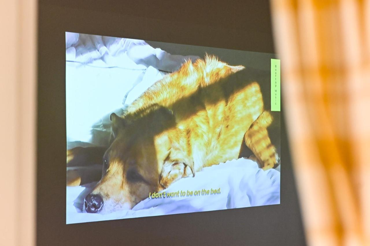 Seeu House Hongdae ソウル特別市 エクステリア 写真